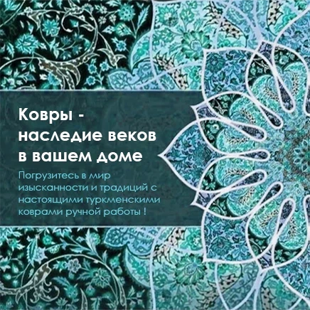 ARZUW HALY banner