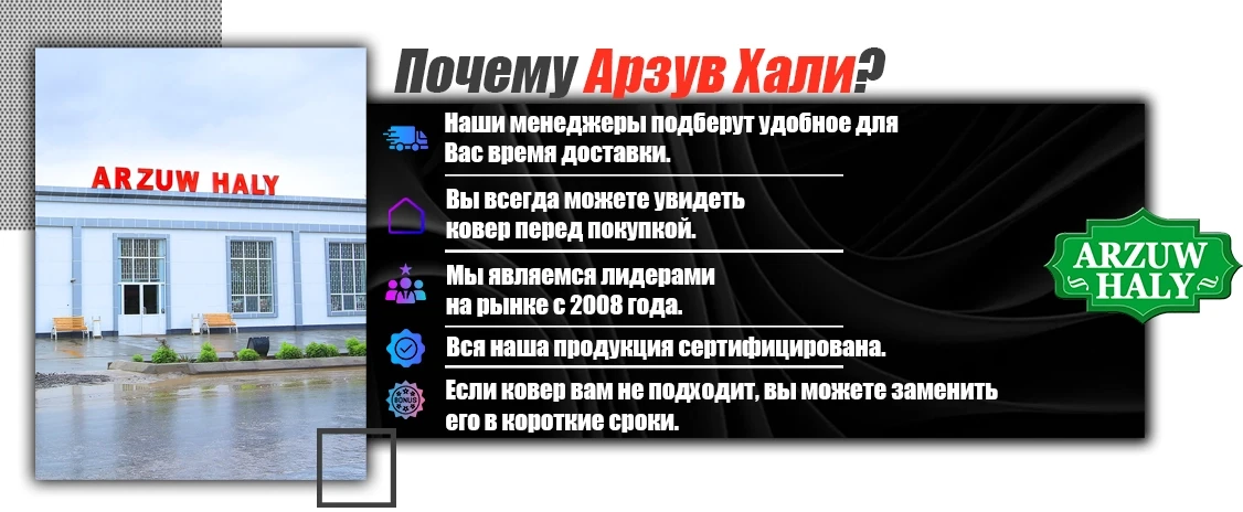 ARZUW HALY promo
